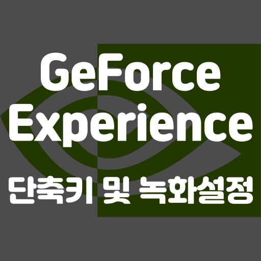 지포스 익스피리언스 녹화