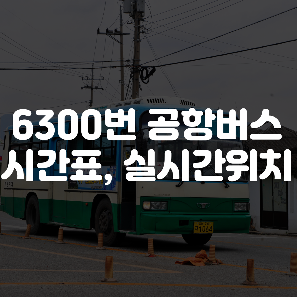 3300번 공항버스 시간표, 실시간 위치 이미지