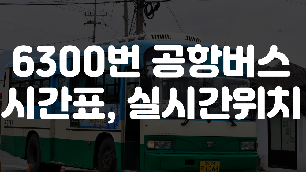 6300번 공항버스 시간표, 실시간 위치 이미지