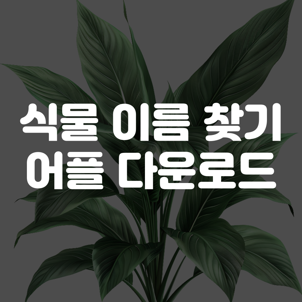 식물 이름 찾기 어플