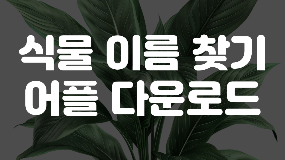 식물 이름 찾기 어플 다운로드 이미지