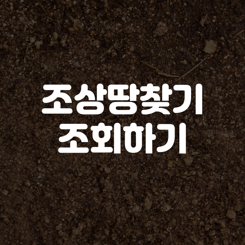 조상땅찾기 조회방법