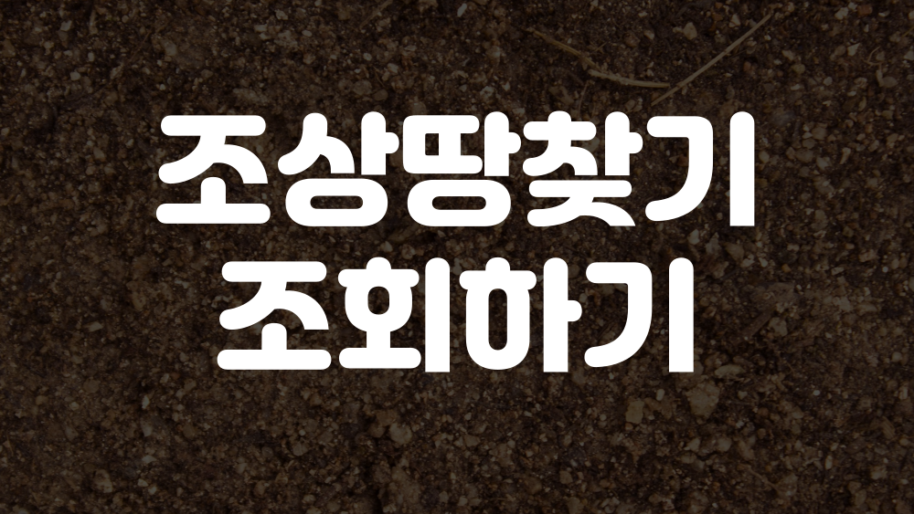 조상땅찾기 조회 바로가기 이미지