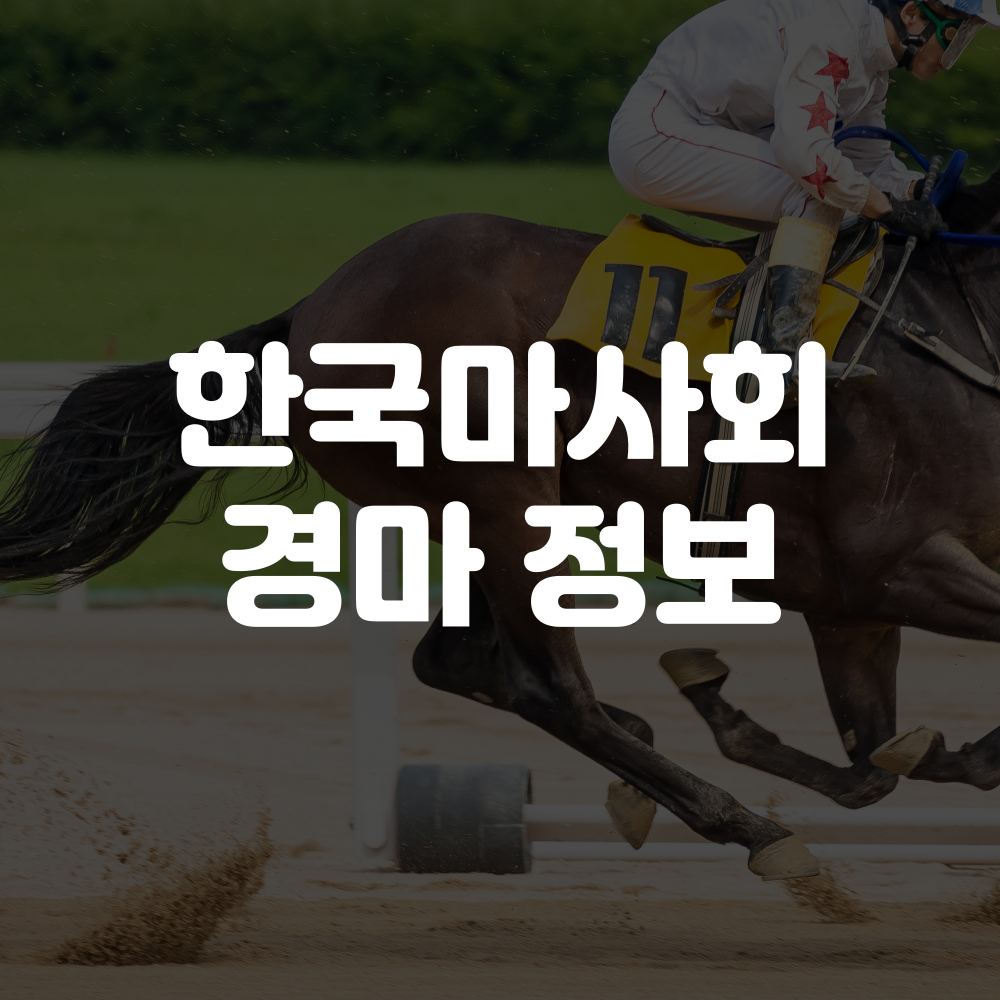한국마사회 경마정보 홈페이지 이미지