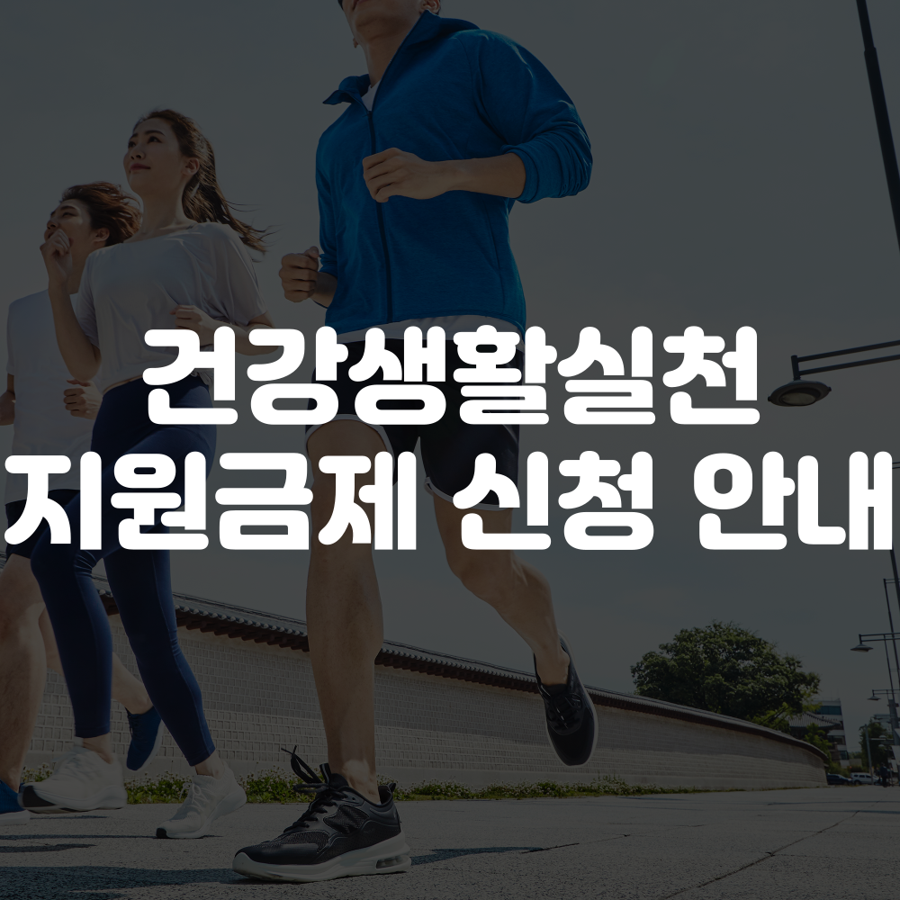 건강생활실천지원금제 신청 방법 이미지