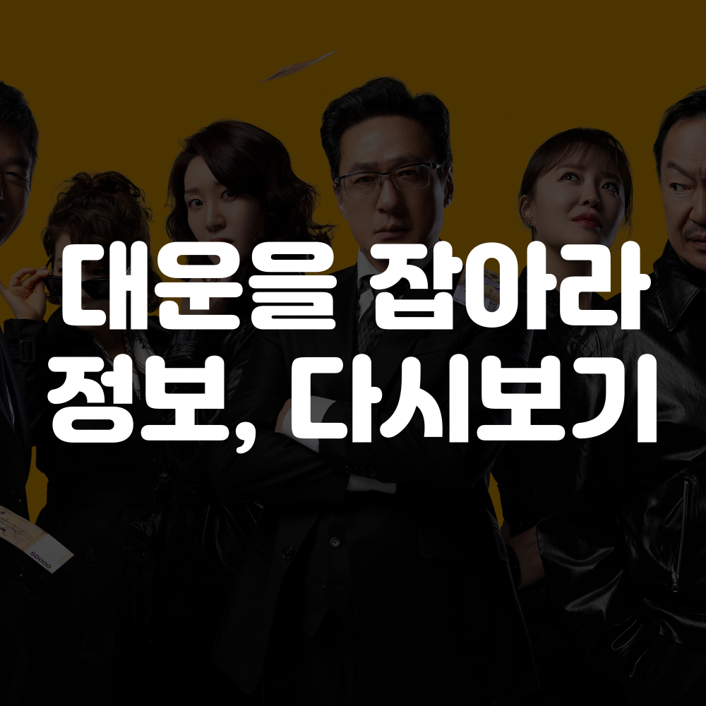 대운을 잡아라 등장인물, 보러가기, 재방송