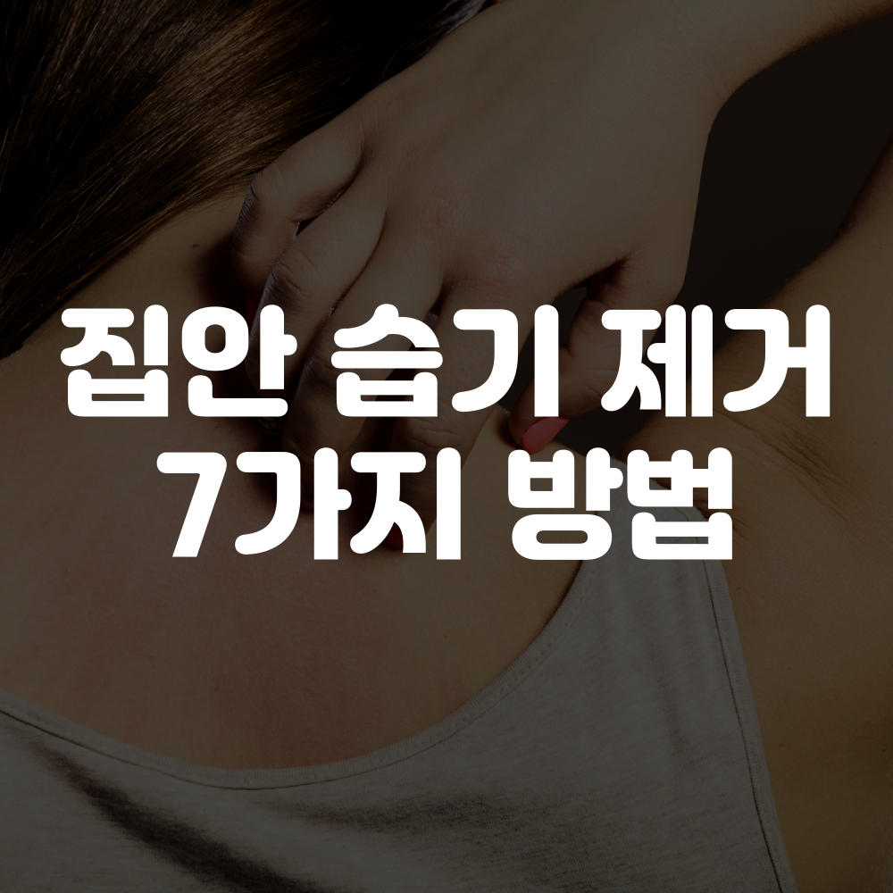 집안 습기 제거 방법 7가지