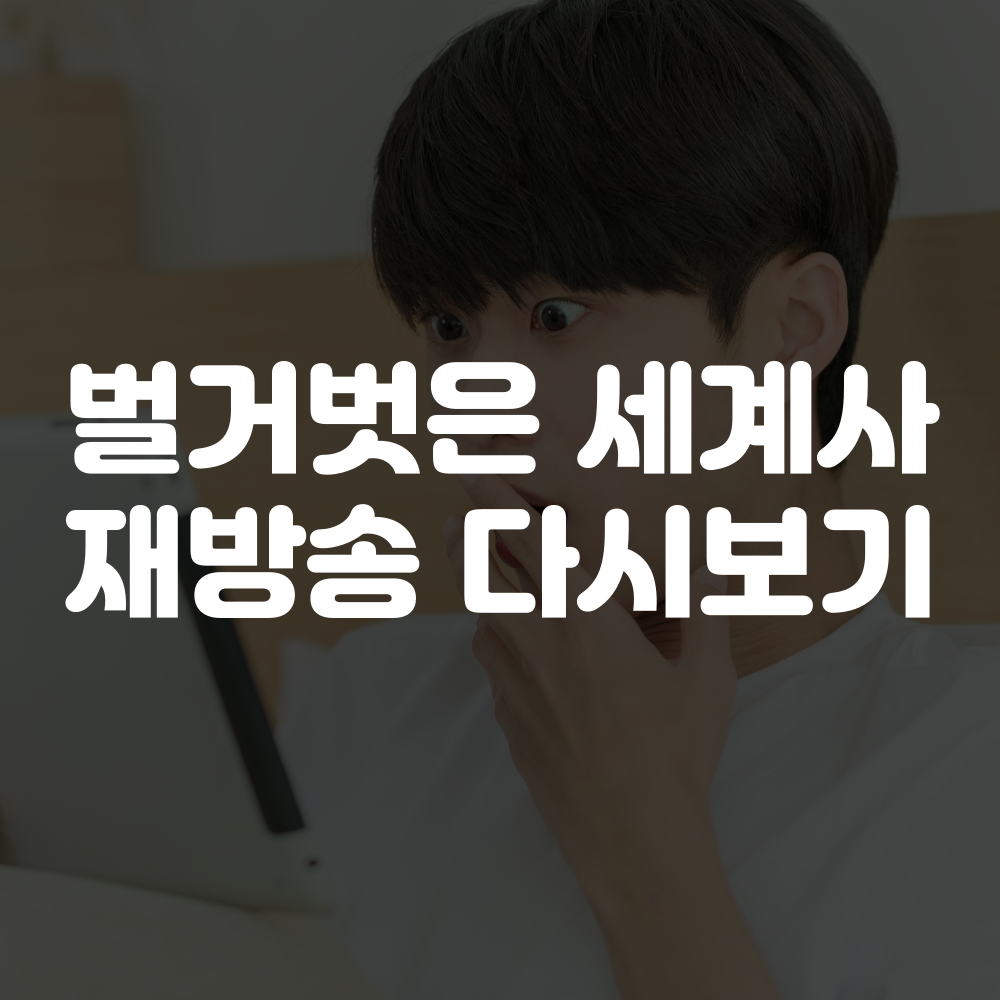 벌거벗은 세계사 재방송 다시보기, 보러가기 방법 안내