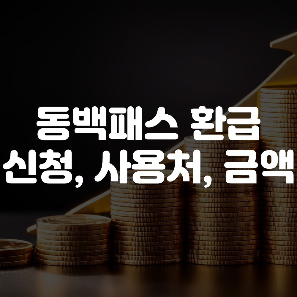 동백패스 환급 신청 방법, 환급금 사용처 및 사용법 안내