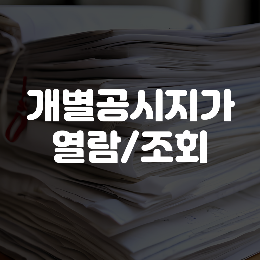 개별공시지가 조회방법 및 열람방법