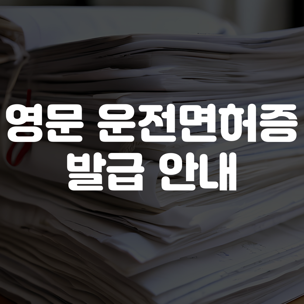영문 운전면허증 발급