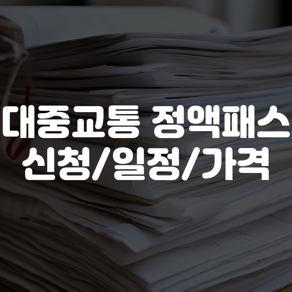 대중교통 정액패스 신청방법 도입시기 가격 안내