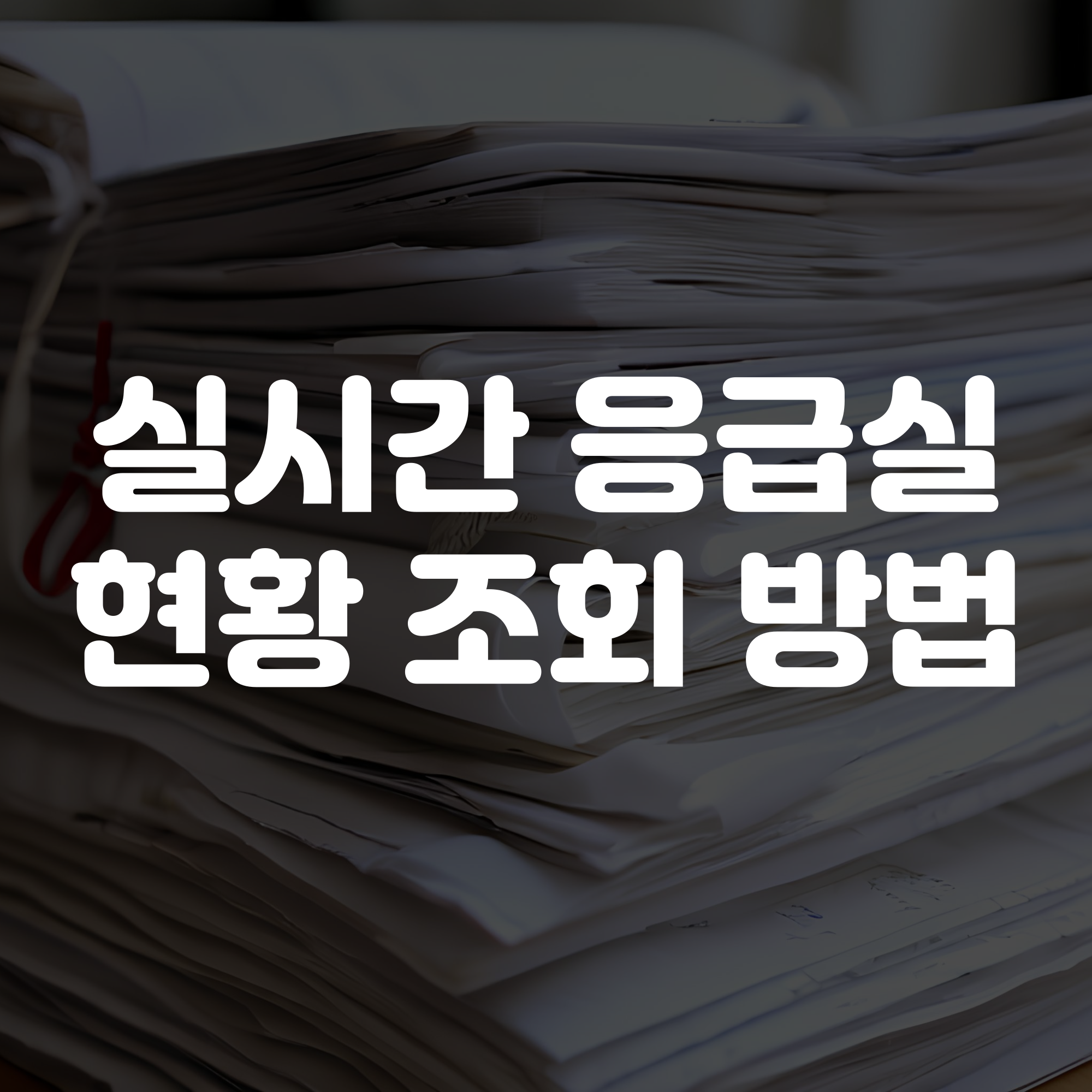 실시간 응급실 현황 조회 방법
