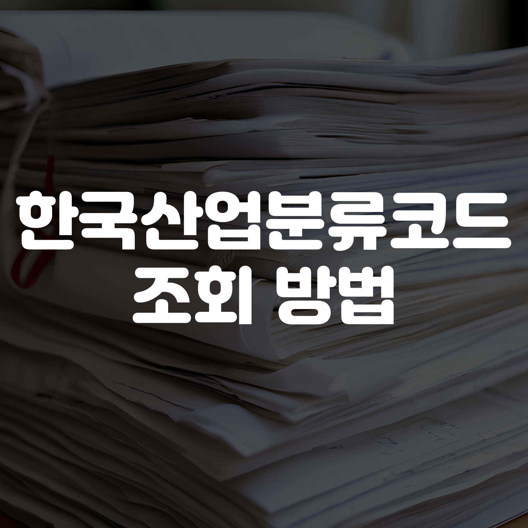 한국표준산업분류코드 조회 방법 가이드