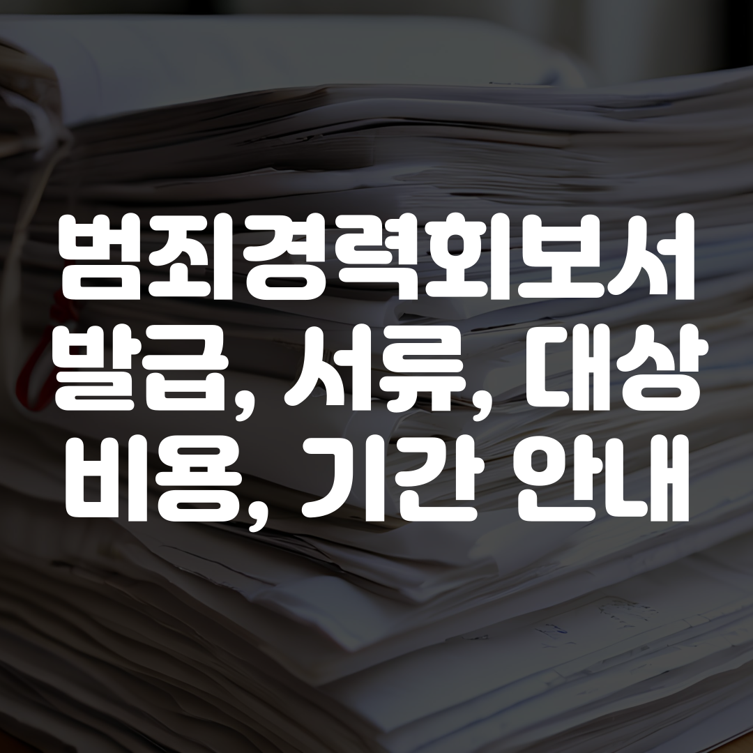 범죄경력회보서 발급 방법 가이드