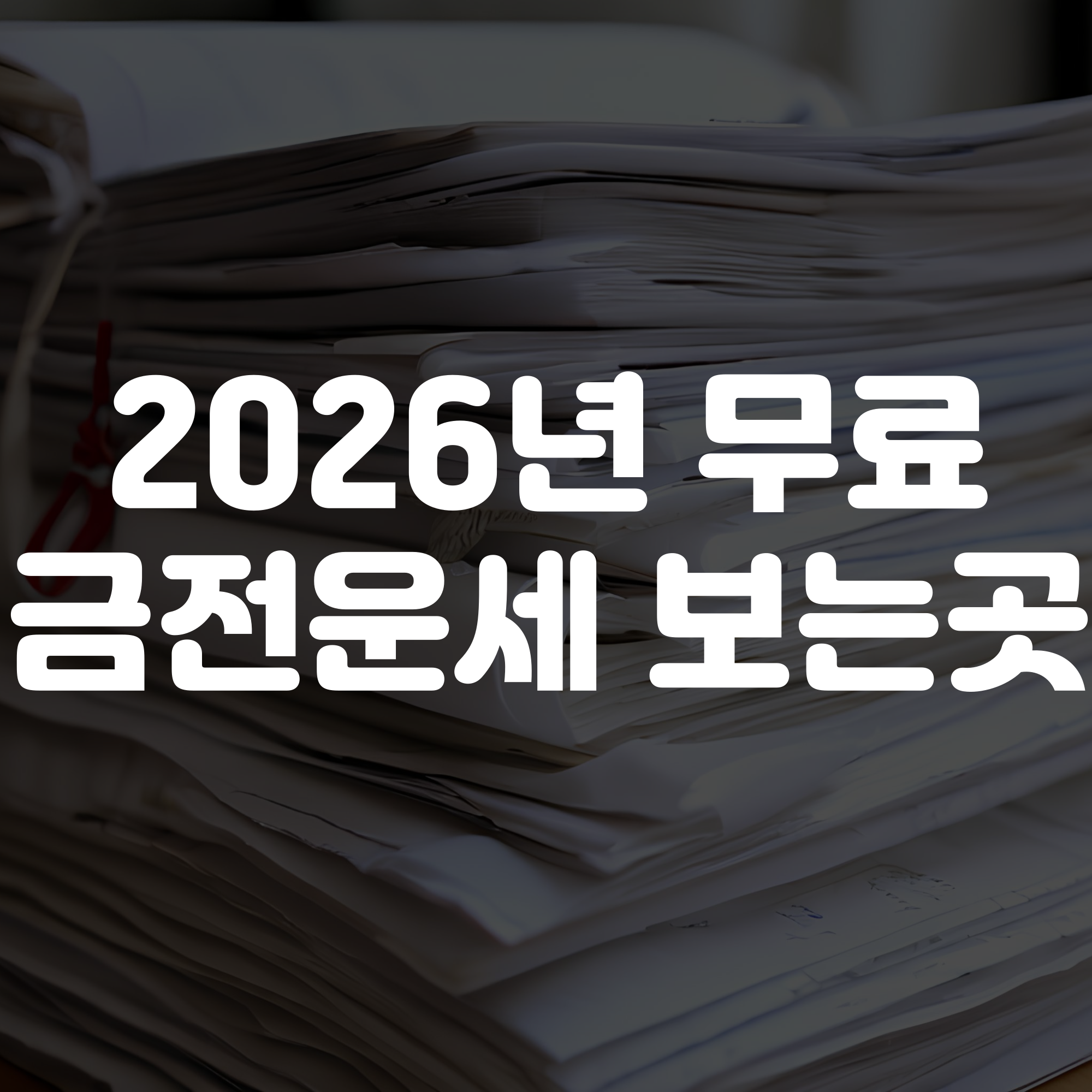 2026년 금전운세 무료보기