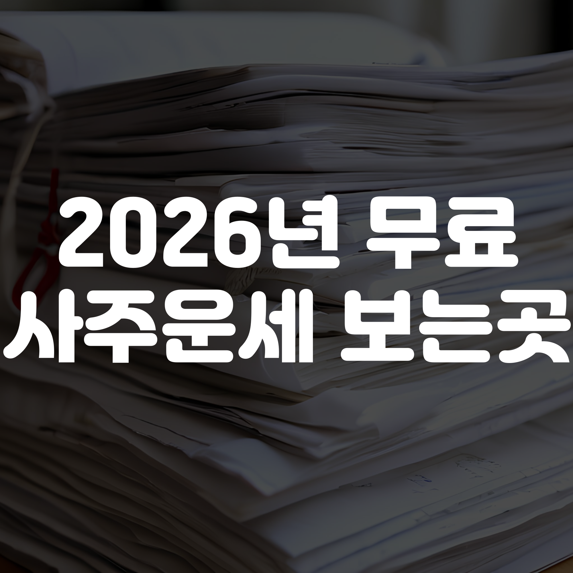 2026년 사주운세 무료보기