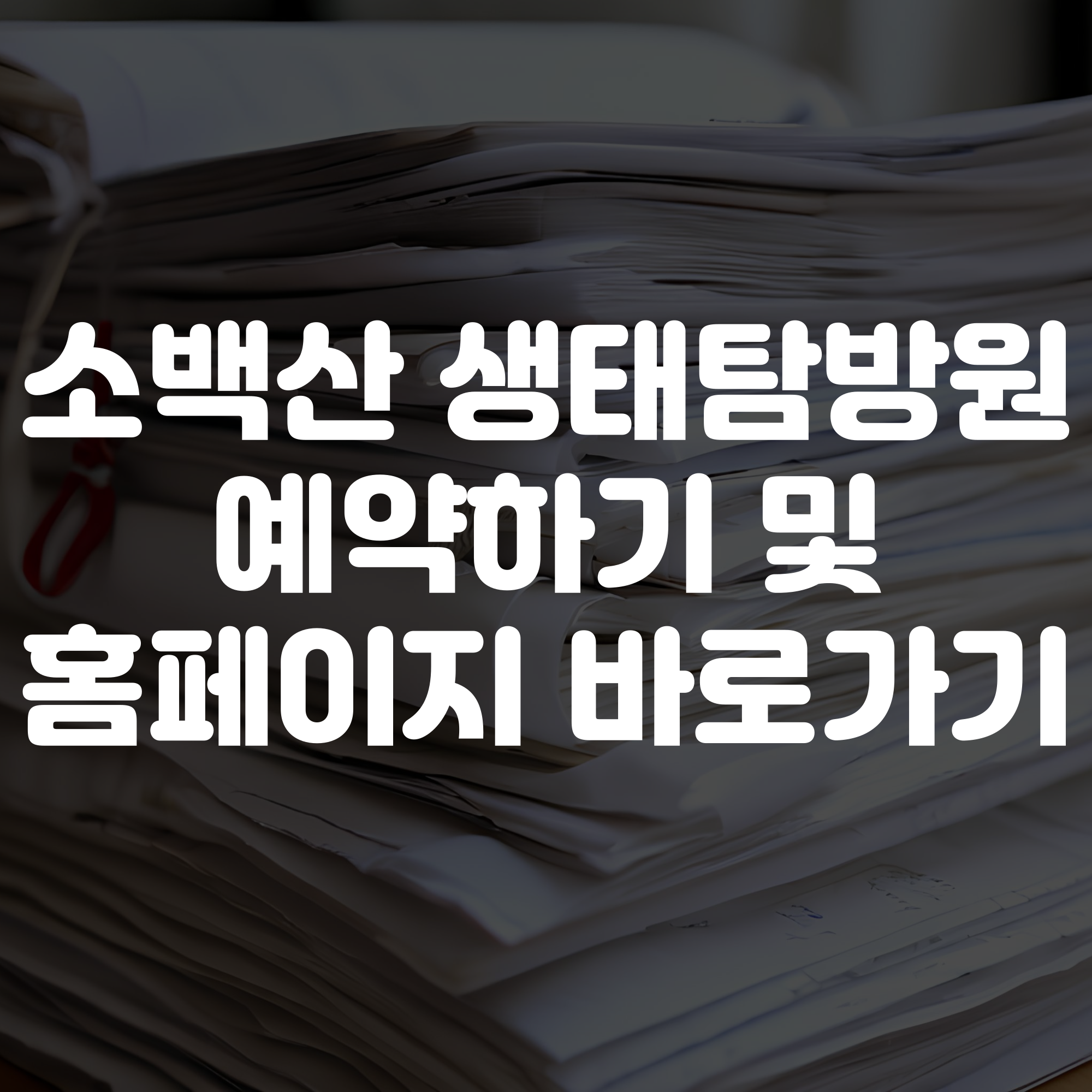 소백산 생태탐방원 예약하기 및 홈페이지 바로가기