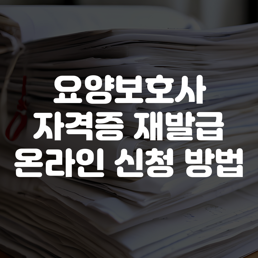 요양보호사 자격증 재발급 온라인 신청 방법