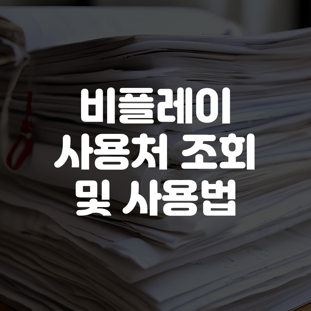 비플페이 사용처 조회 및 사용법