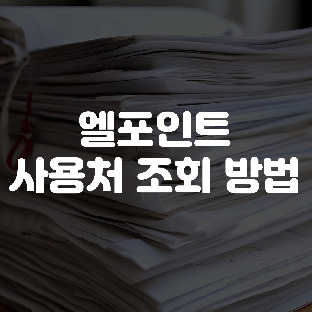 엘포인트 사용처 조회 방법
